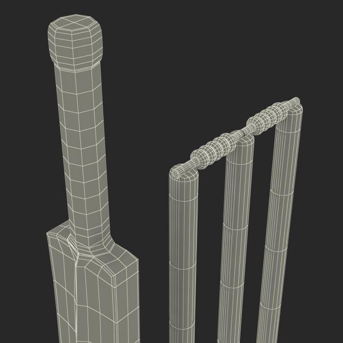 3D Cricket Collection model