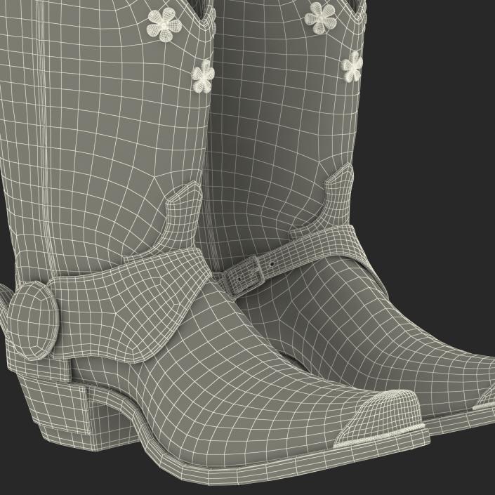 Western Boots with Spurs 3D model