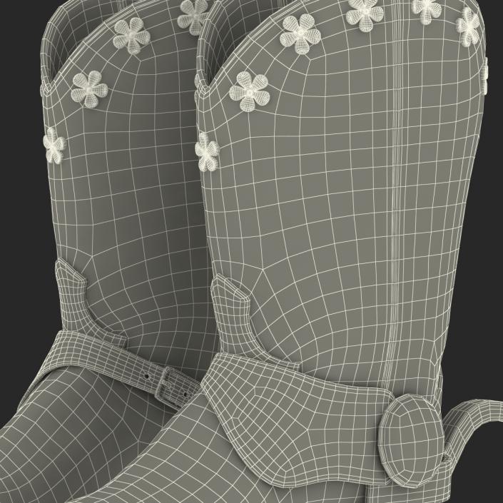 Western Boots with Spurs 3D model