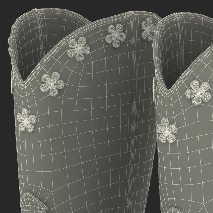 Western Boots with Spurs 3D model