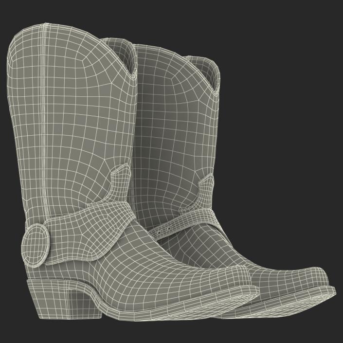 Cowboy Boots 3D