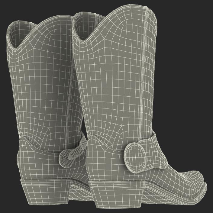 Cowboy Boots 3D