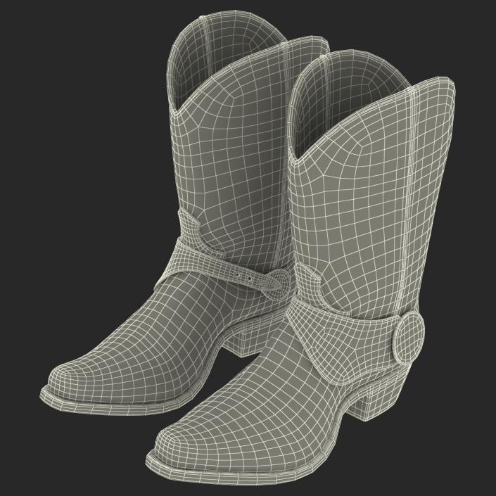 Cowboy Boots 3D