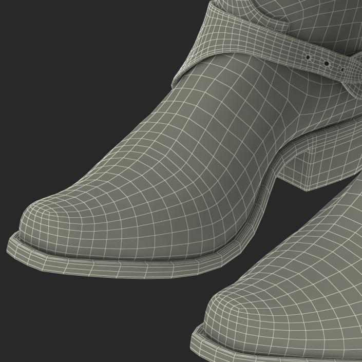 Cowboy Boots 3D