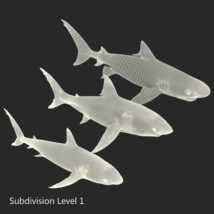 Sharks Collection 3D