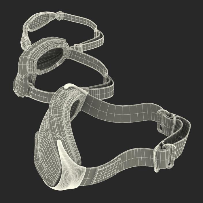 Ski Goggles 3D Models Collection 3D