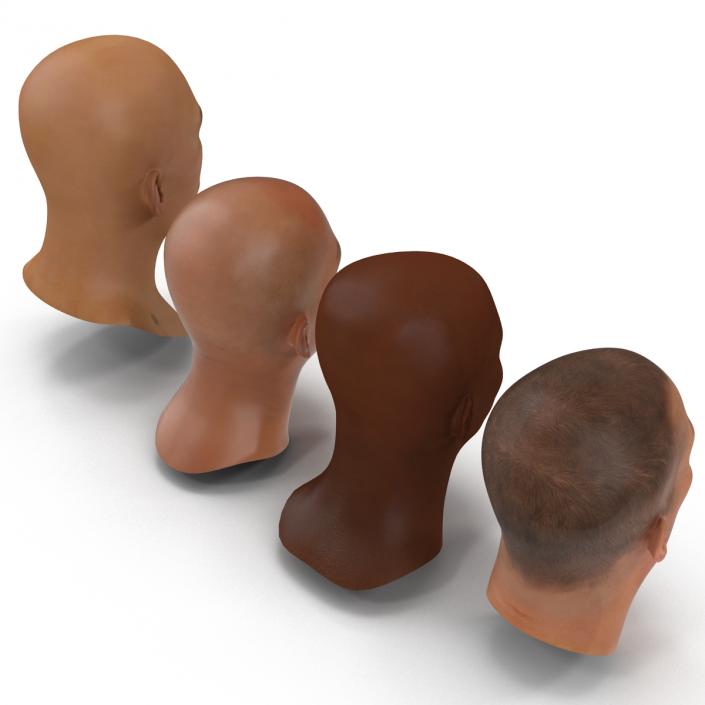 3D Male Heads Collection