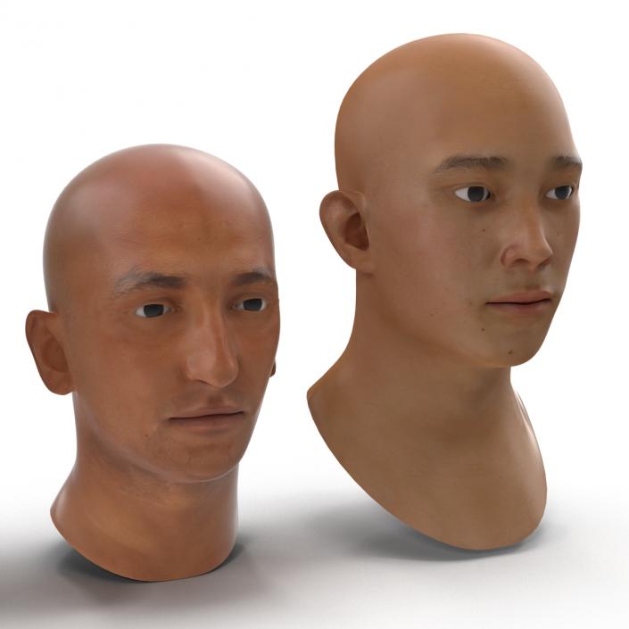 3D Male Heads Collection