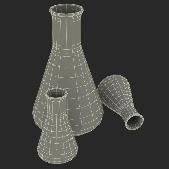 3D Erlenmeyer Flasks 3D Models Collection model