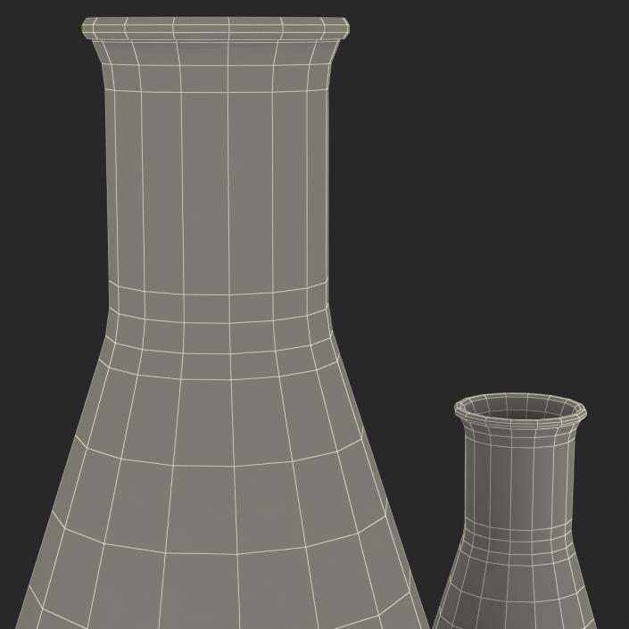 3D Erlenmeyer Flasks 3D Models Collection model