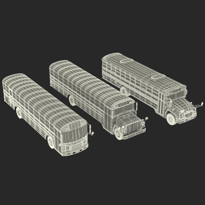 3D School Buses 3D Models Collection model