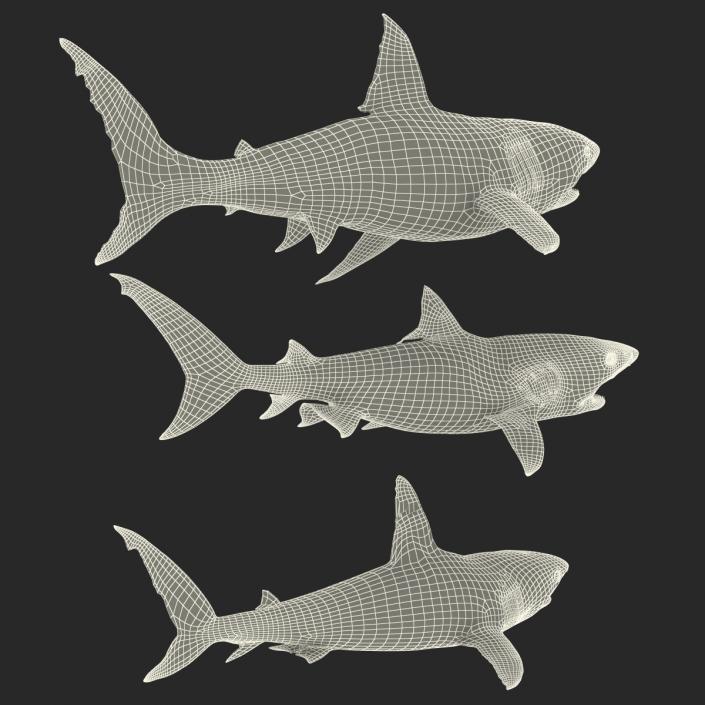 Rigged Sharks Collection 3D model