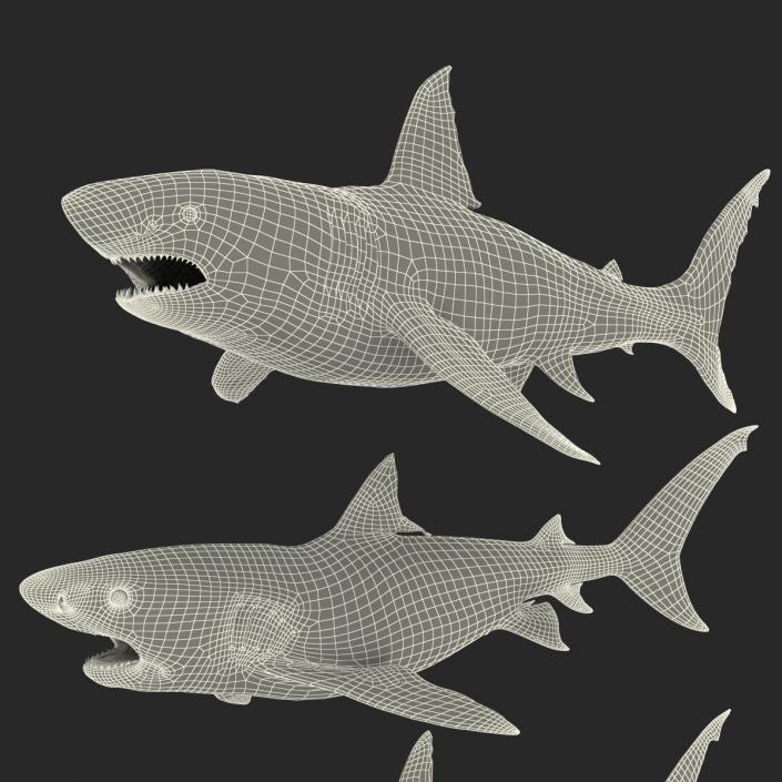 Rigged Sharks Collection 3D model