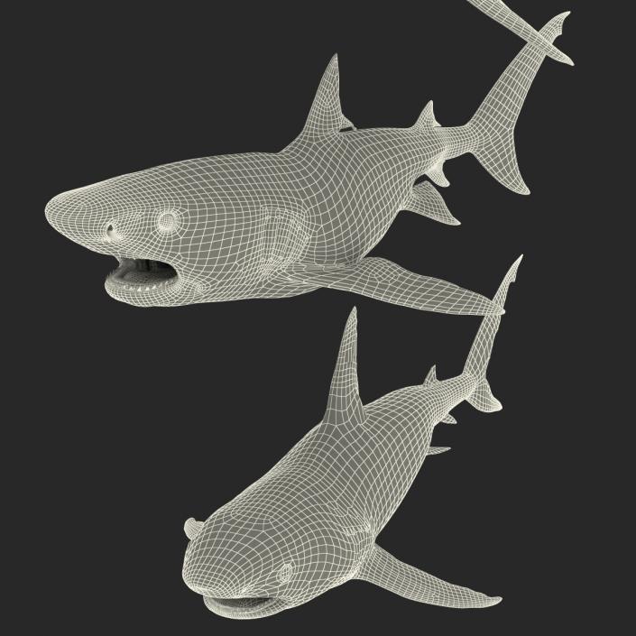 Rigged Sharks Collection 3D model