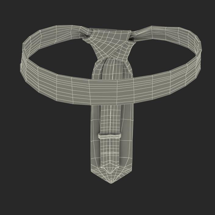 3D model Tie 12