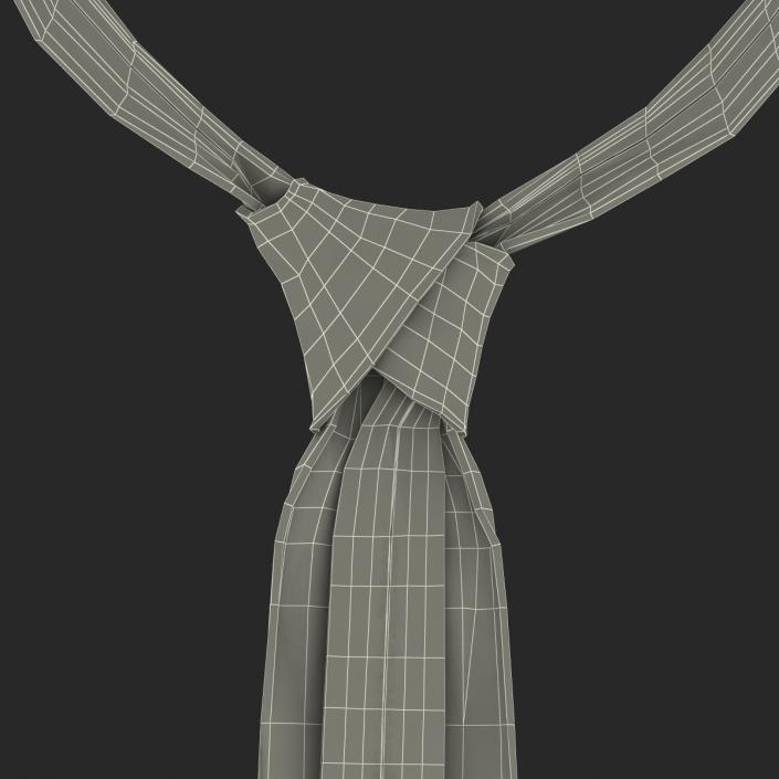 3D model Tie 12