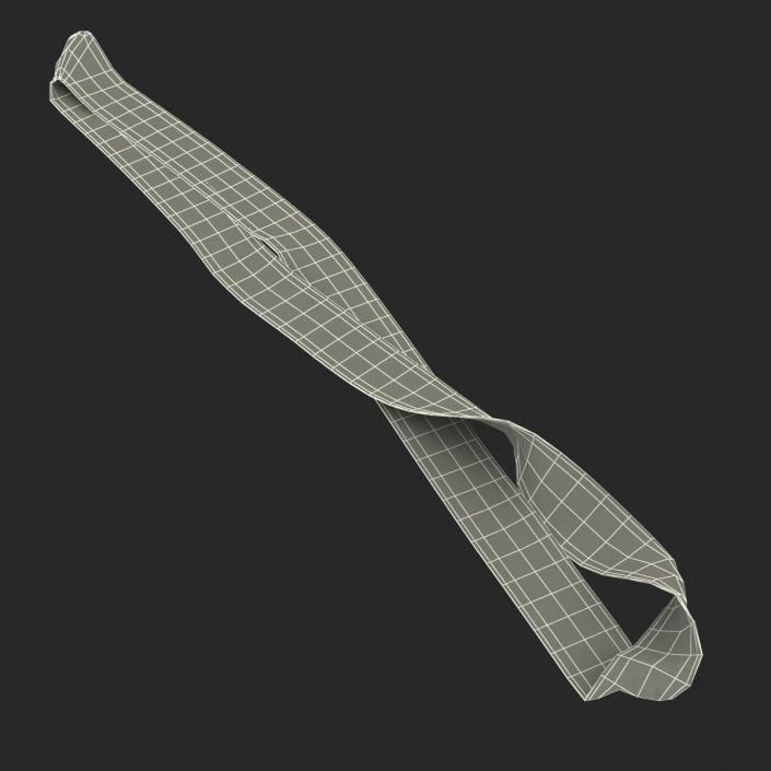 Medal Ribbon 4 3D model