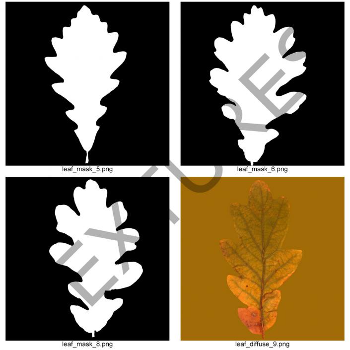 3D model Old White Oak Autumn