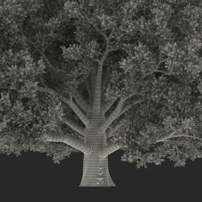 3D model Old White Oak Autumn