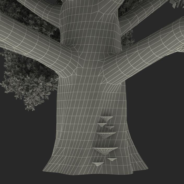 3D model Old White Oak Autumn