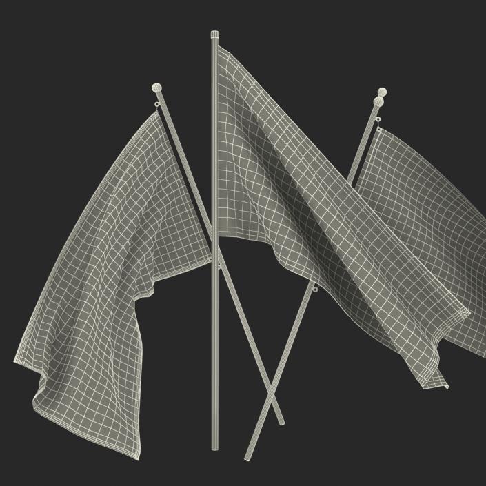 3D Racing Flags 3D Models Collection model