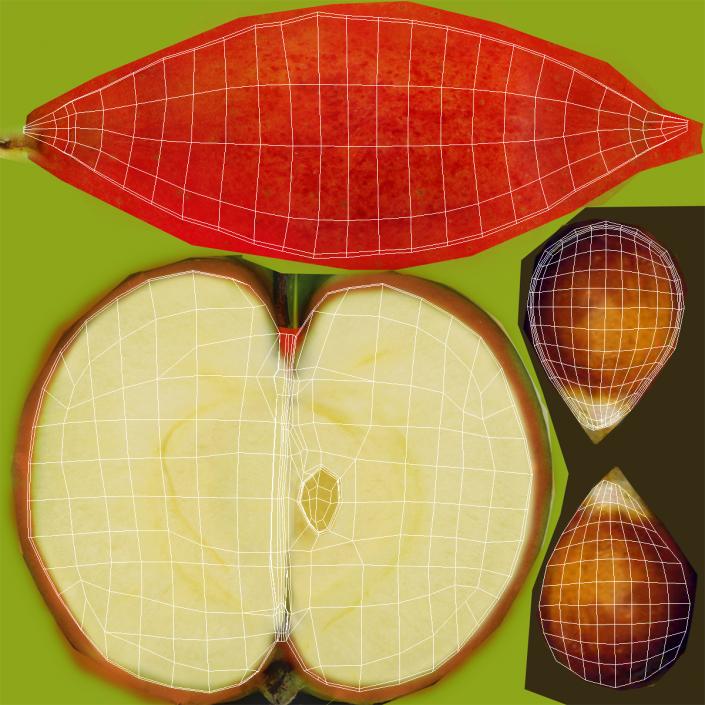 Red Apple Slice 3 3D