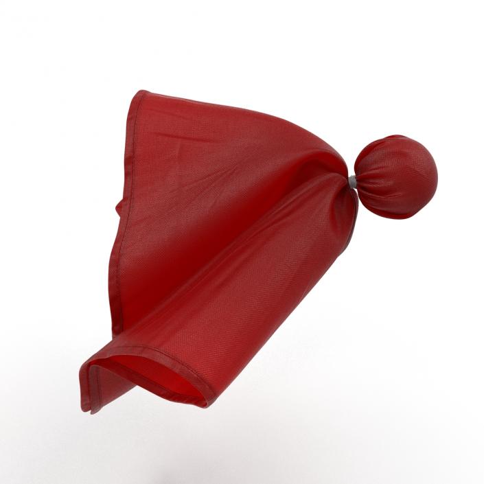 3D model Football Penalty Flag Red