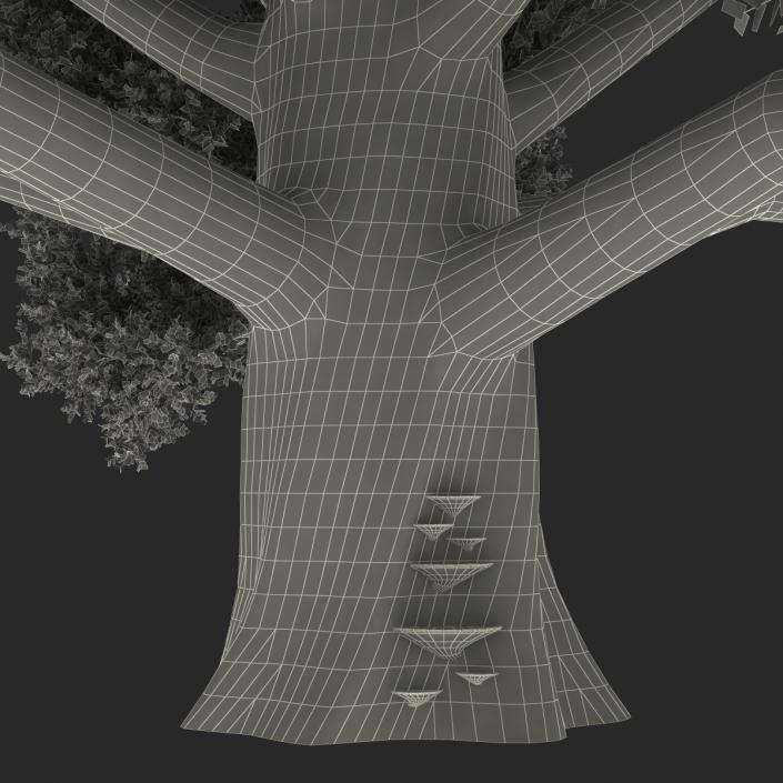 3D model Old White Oak Summer