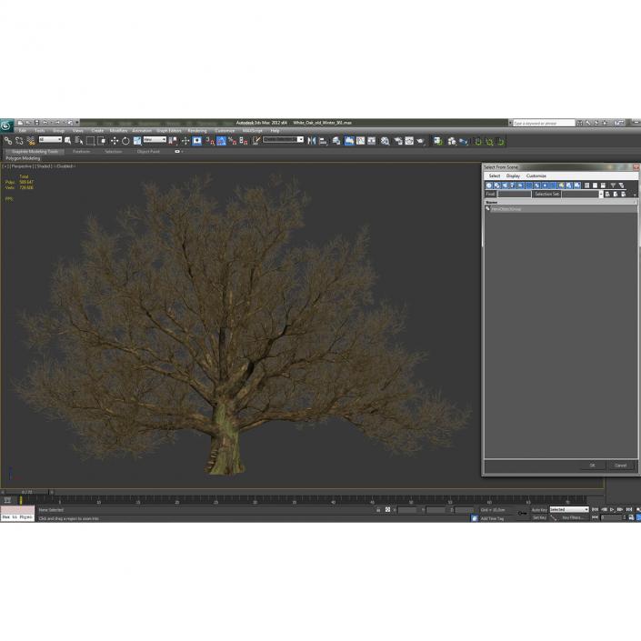 3D model Old White Oak Winter