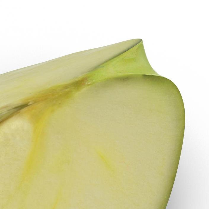 Green Apple Slice 3D