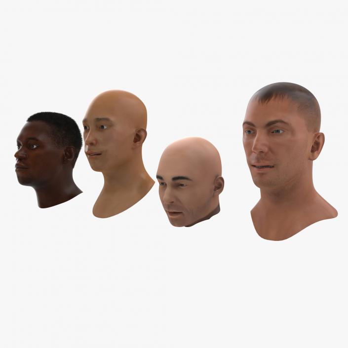 3D Male Rigged Heads Collection model