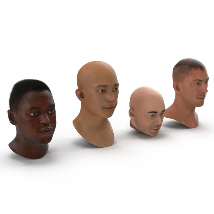 3D Male Rigged Heads Collection model