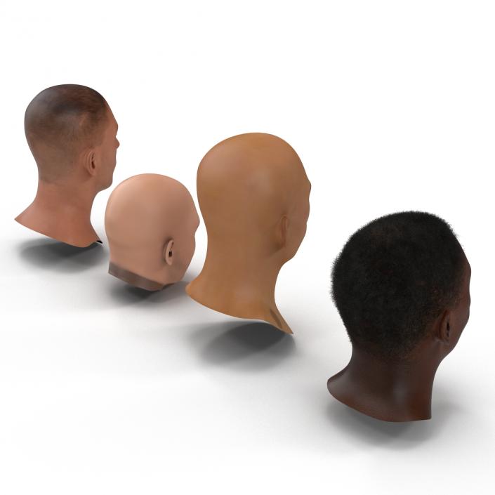 3D Male Rigged Heads Collection model