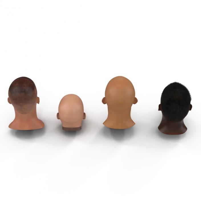 3D Male Rigged Heads Collection model