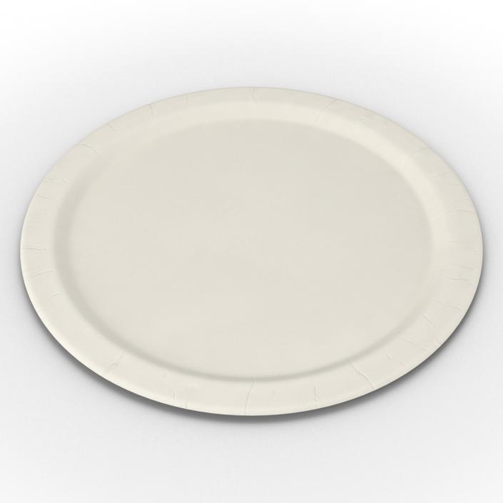 3D Paper Plate