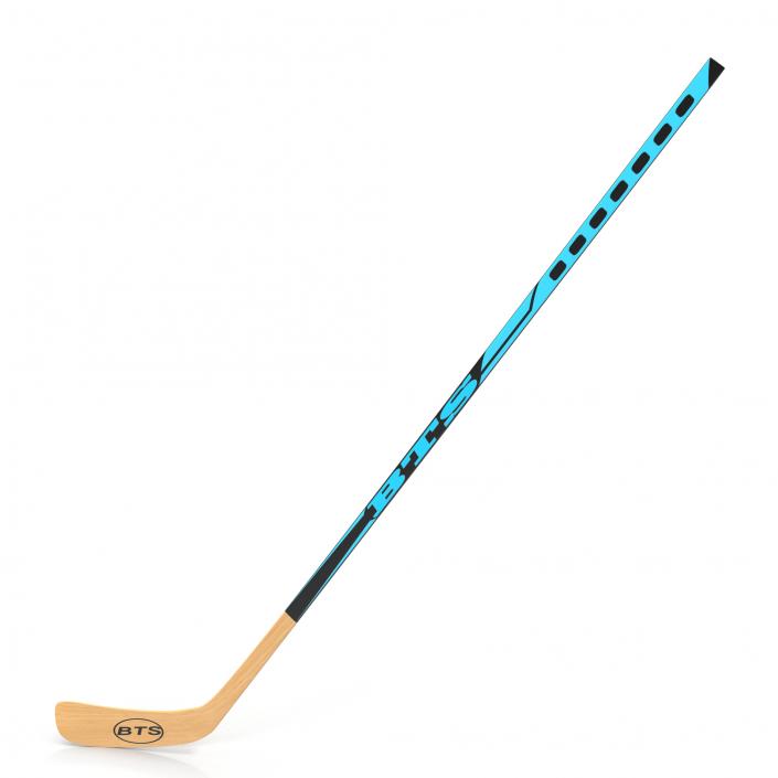 Hockey Stick 3D