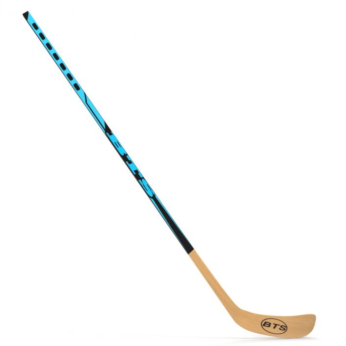 Hockey Stick 3D