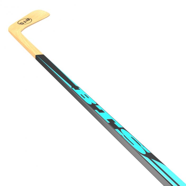 Hockey Stick 3D