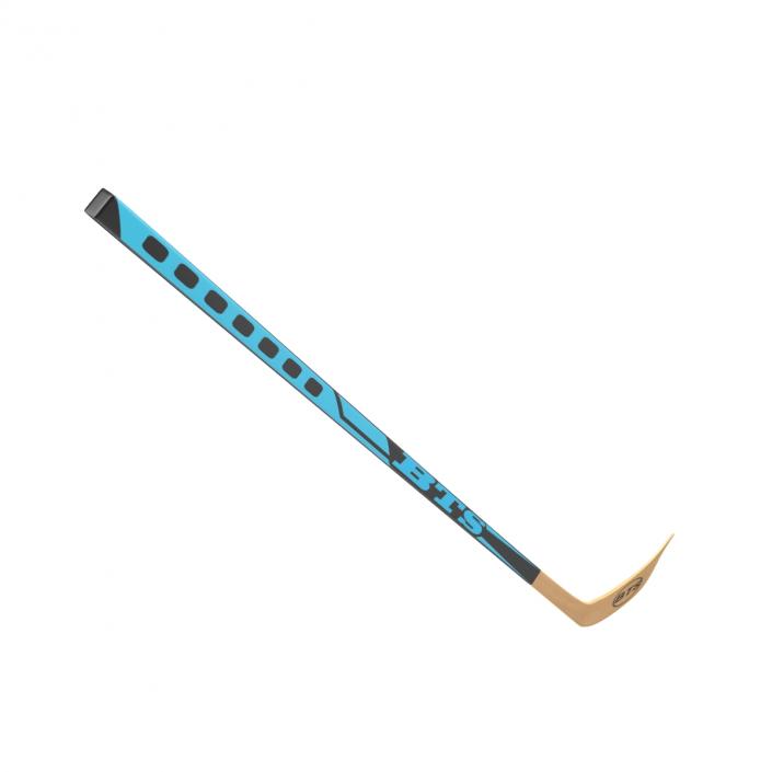 Hockey Stick 3D