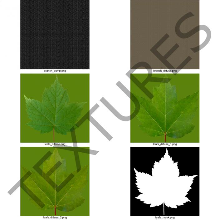 3D Red Maple Tree Summer