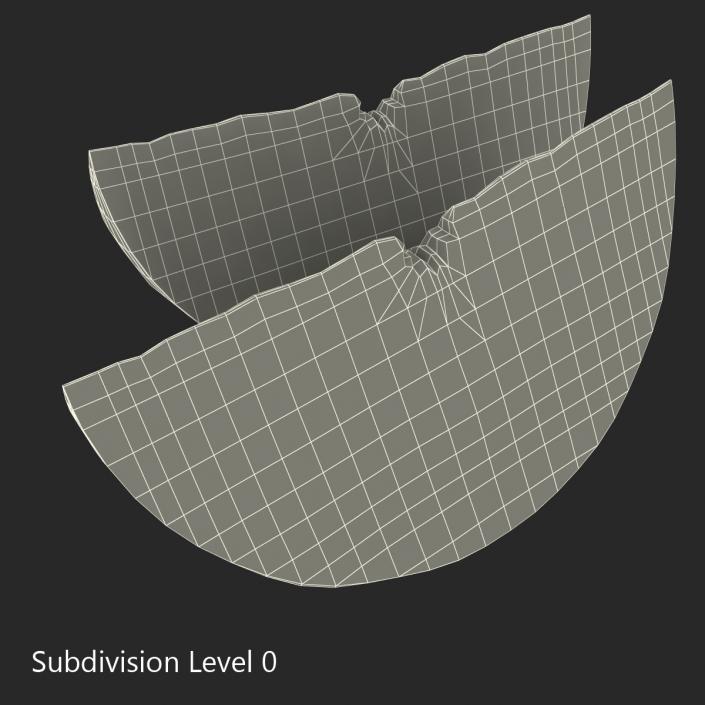 3D Grapefruit Slice