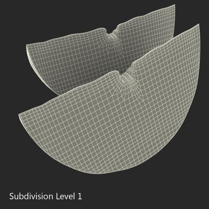 3D Grapefruit Slice