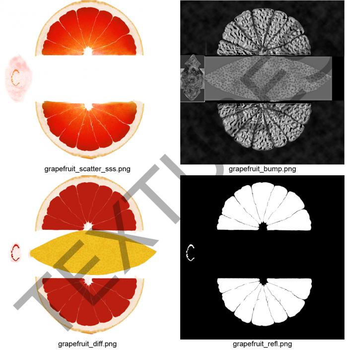 3D Grapefruit Slice