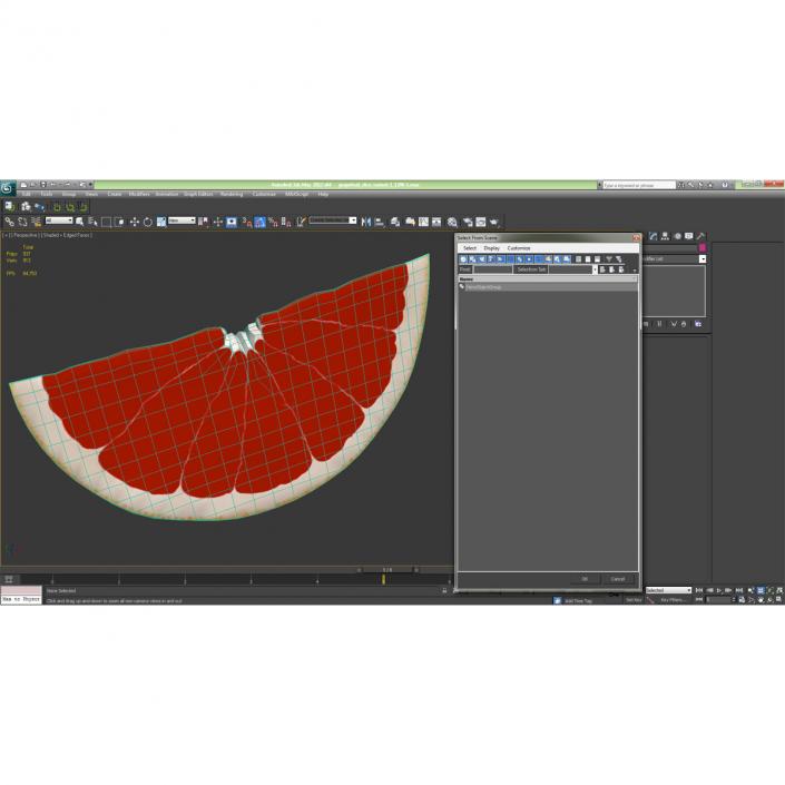 3D Grapefruit Slice