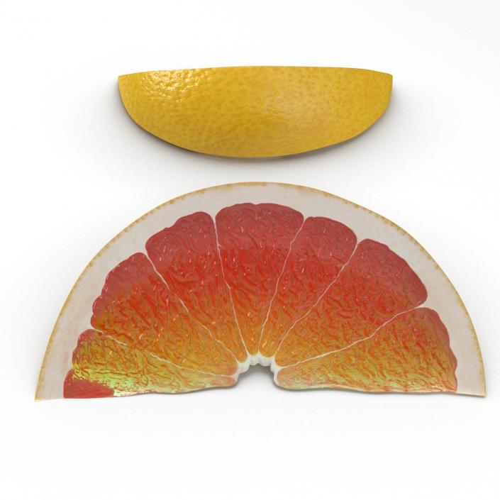 3D Grapefruit Slice 2 model