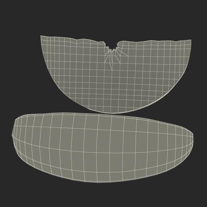 3D Grapefruit Slice 2 model