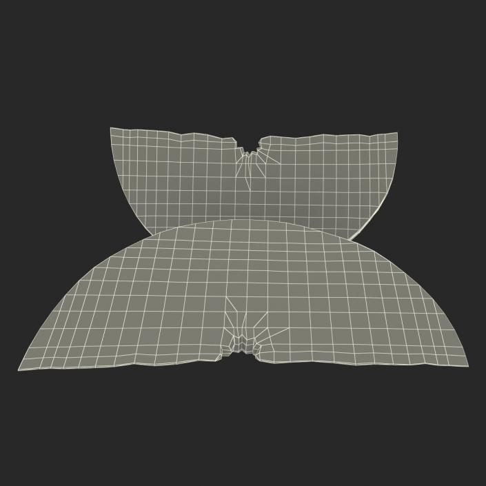 3D Grapefruit Slice 2 model