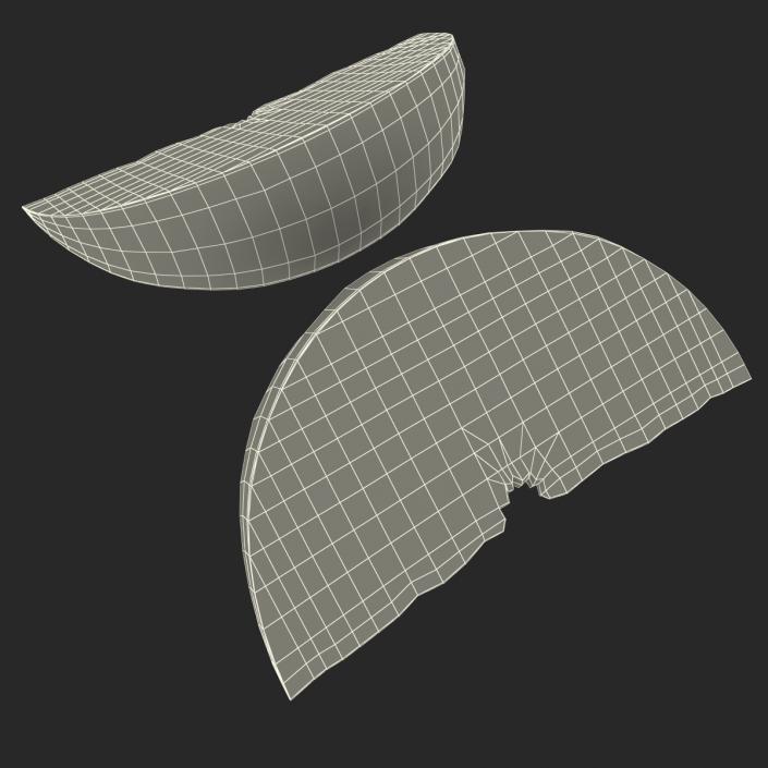 3D Grapefruit Slice 2 model