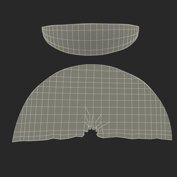 3D Grapefruit Slice 2 model