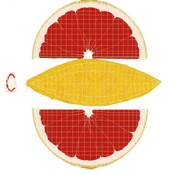 3D Grapefruit Slice 3 model